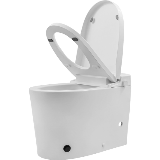 Non-electric smart toilet ( Model No.: LSST-0095 )